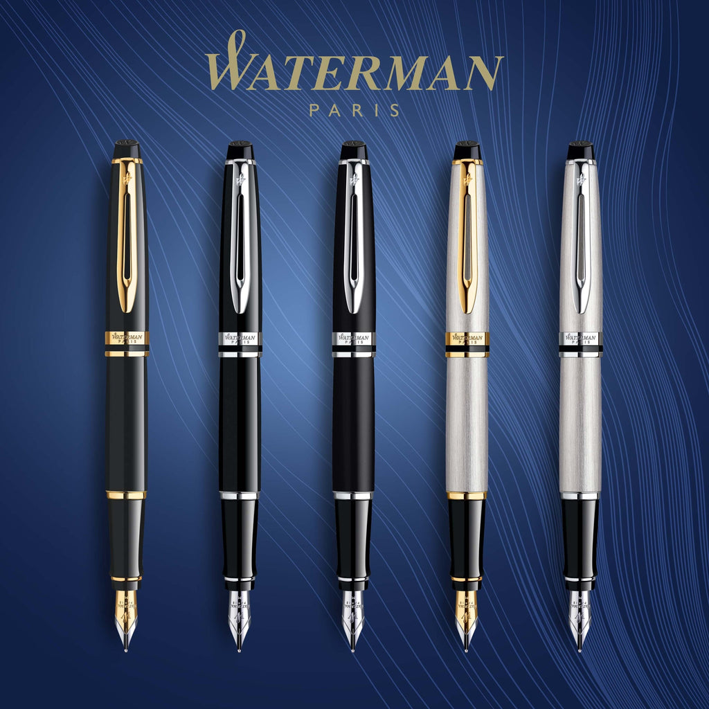 Waterman Expert Stainless Steel Gold Trim Fountain Pen in Box