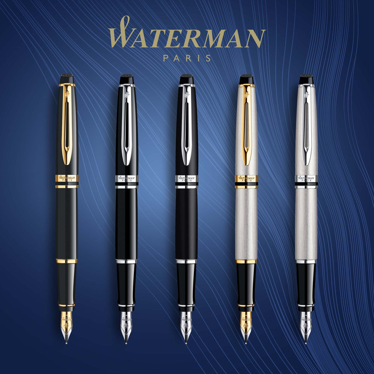 Waterman Expert Stainless Steel Gold Trim Fountain Pen in Box