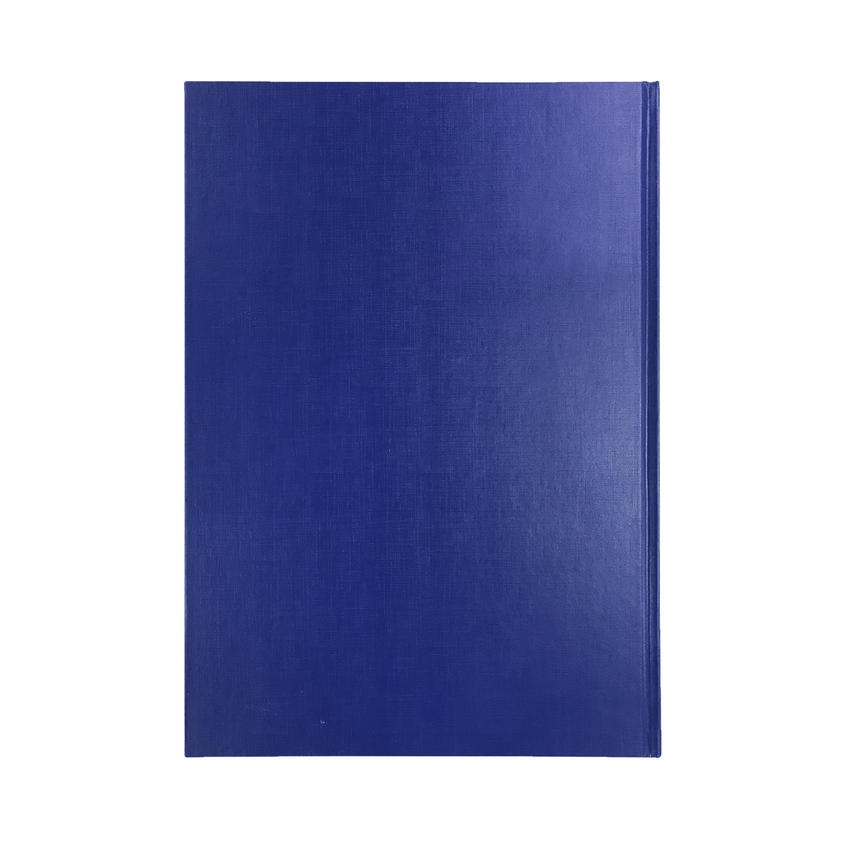 Collins Kingsgrove Diary 2027 A4 2 Days to a Page Blue