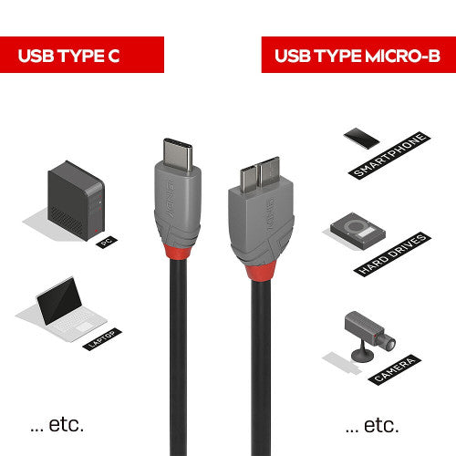 Lindy 1m USB 3.2 Type C to Micro-B Cable 5Gbps Anthra Line