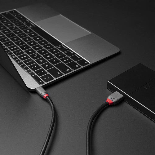 Lindy 3m USB 3.2 Type C to Micro-B Cable 5Gbps Anthra Line