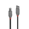 Lindy 2m USB 2.0 Type A to B Cable Anthra Line