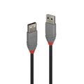 Lindy 0.5m USB 2.0 Type A to A Cable Anthra Line