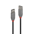 Lindy 1m USB 2.0 Type A Extension Cable Anthra Line