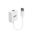 Lindy HDMI to DisplayPort UHD 4K Converter