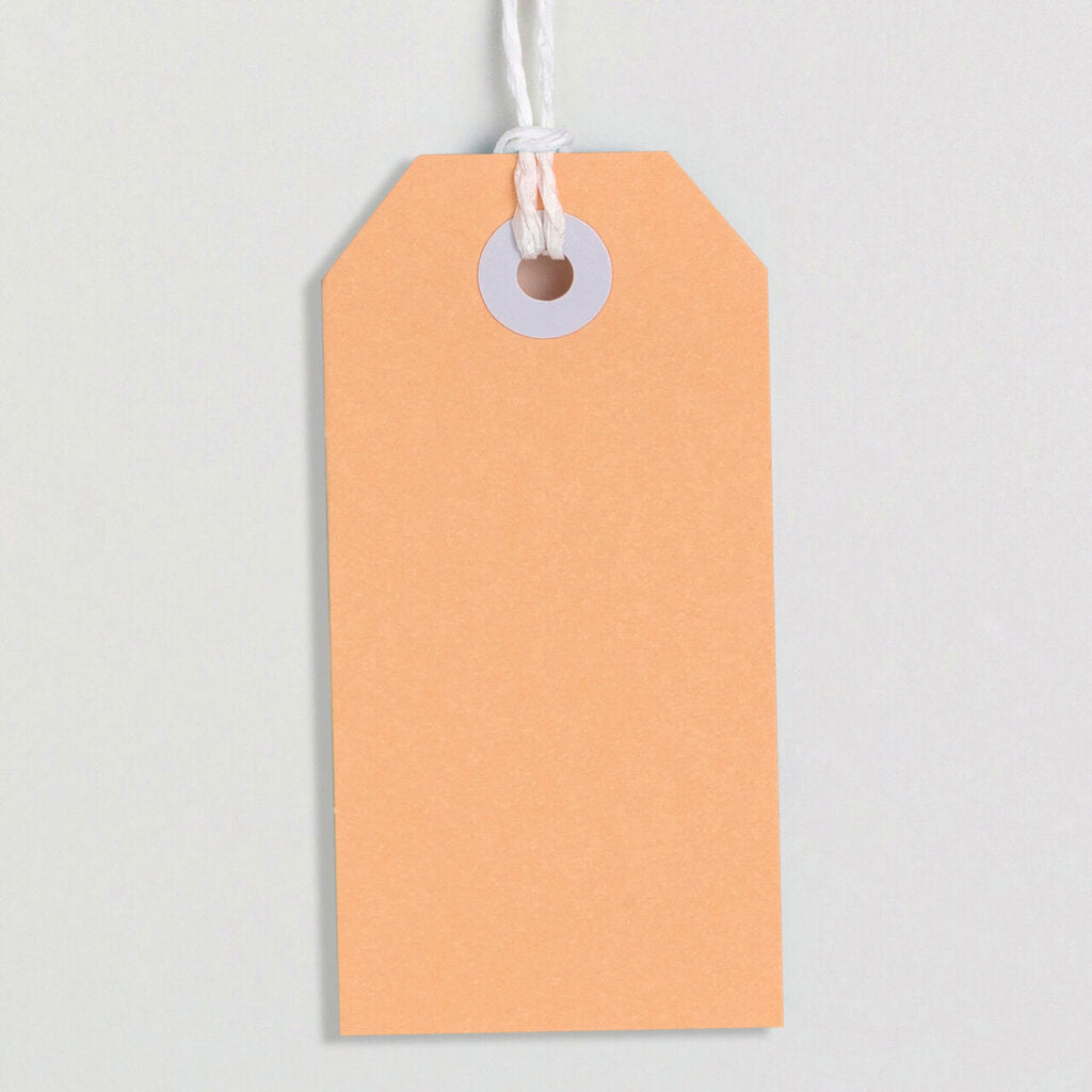 Avery Tag-It with String Size 3 Pastel Peach Pack 24