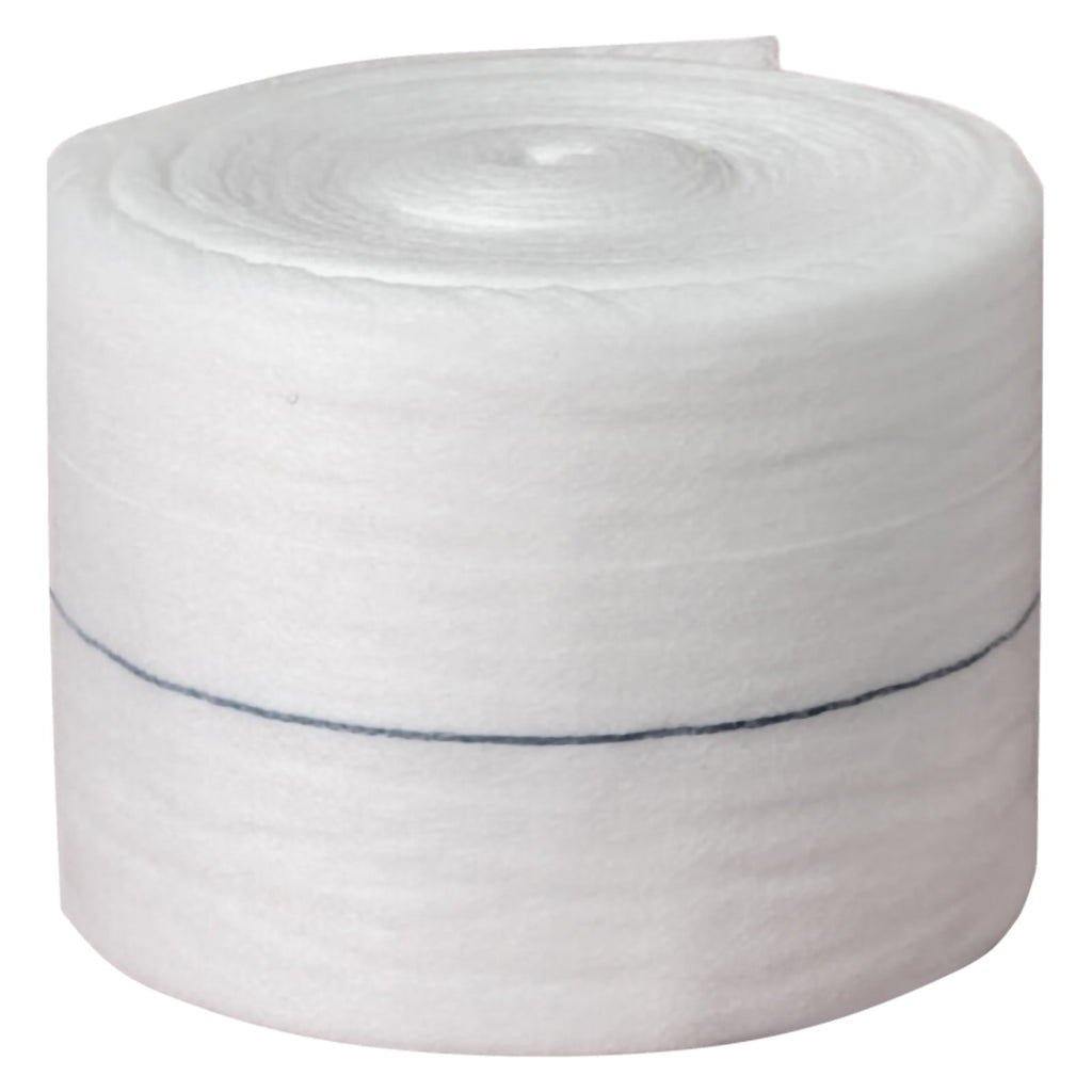 AeroWound Combine Dressing Roll 10cm x 10m