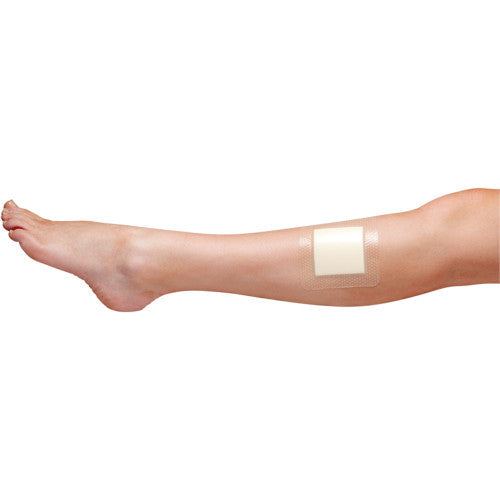 AeroFoam Plus Adhesive Foam Dressings 10 x 10cm Box/2