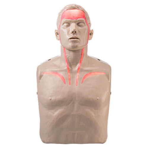 BRAYDEN Pulse CPR Manikin with Lights