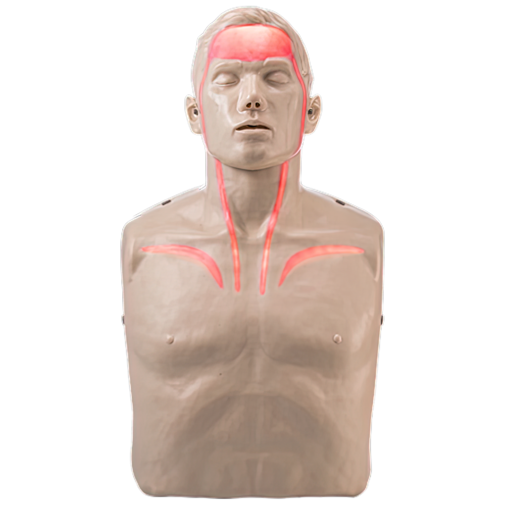 BRAYDEN Pulse CPR Manikin with Lights