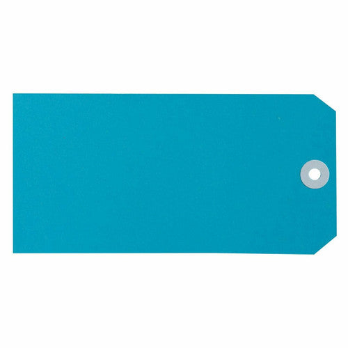 Avery Shipping Tag Size 8 Blue 160 x 80mm Box 1000