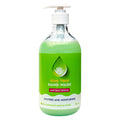 Clean Plus Hand Wash Antibacterial Aloe Vera 500ml Pack of 12