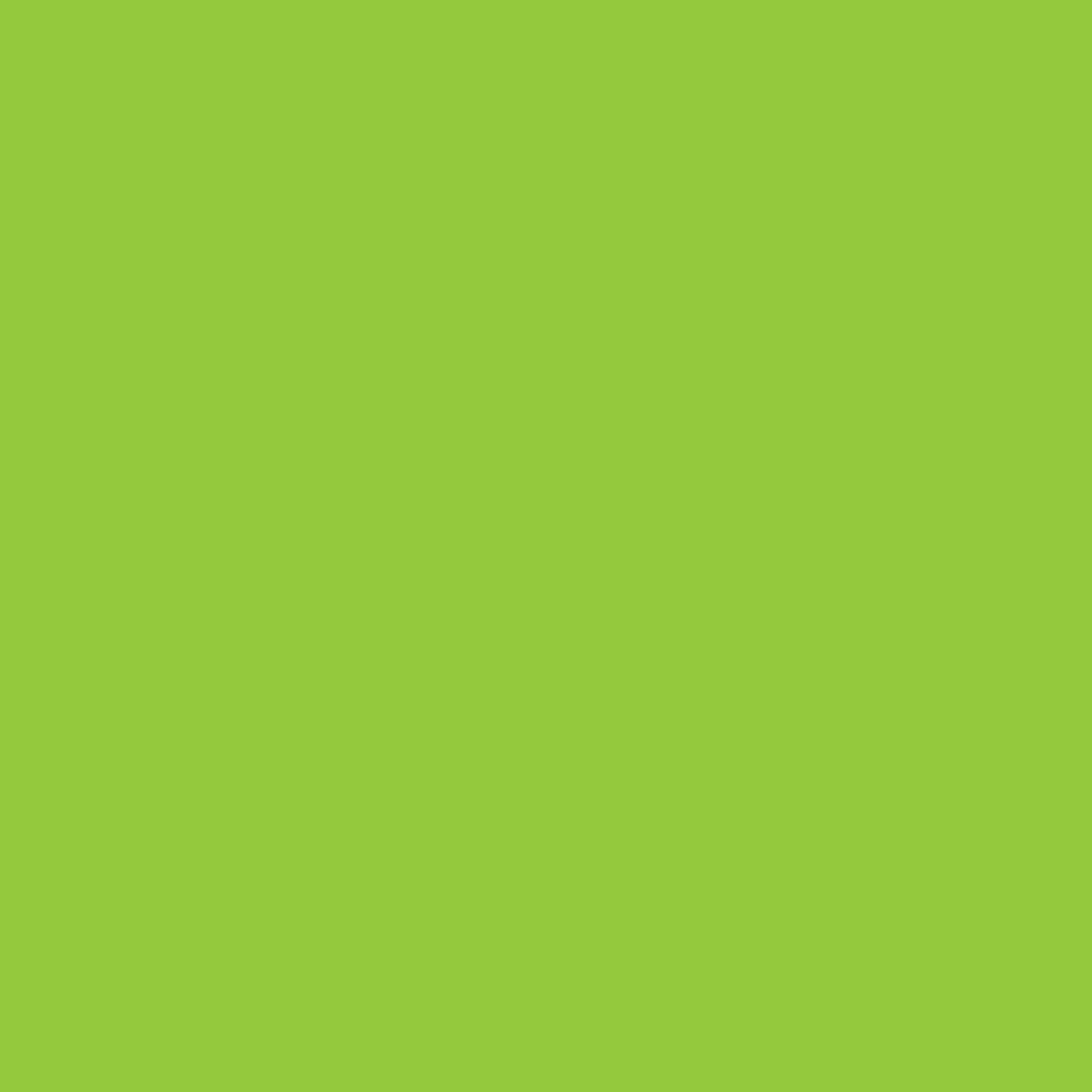 Colourful Days Flouro Board 250gsm Project Size 510 x 640mm Green Pack 20