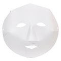 Zart Cardboard Fold-Up Face Masks Pack of 40