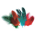 Zart Guinea Fowl Feathers Assorted 10g