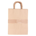Zart Medium Paper Bags with Handle Pack of 10