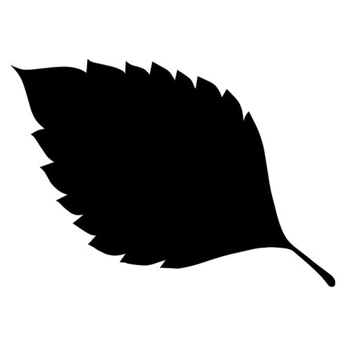Zart Scratch Leaves Pack of 24