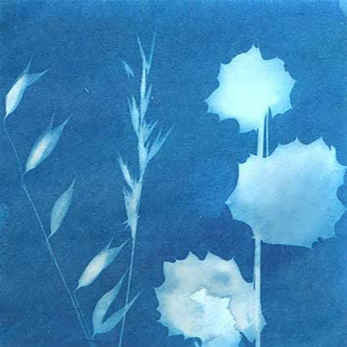 Zart Sunprint Kit 20 x 30cm Pack of 15