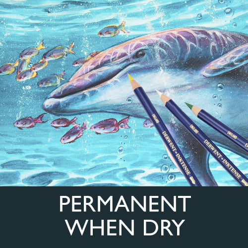 Derwent Inktense Pencil Outliner Box of 6