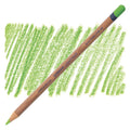 Derwent Lightfast Pencil Grass Green 70% Pack of 6