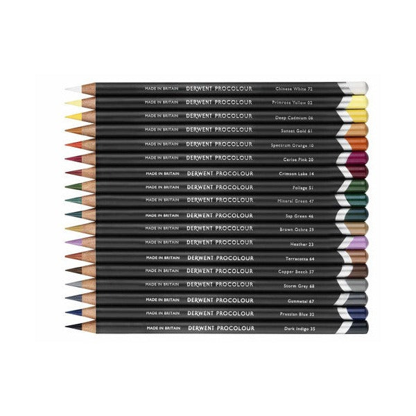 Derwent Procolour Pencil Distant Green Box of 6