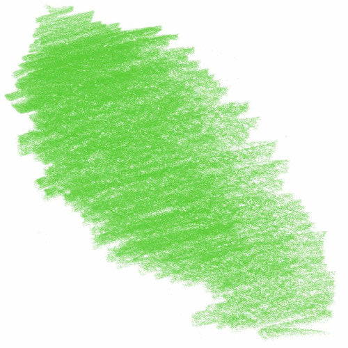 Derwent Procolour Pencil Grass Green Box of 6