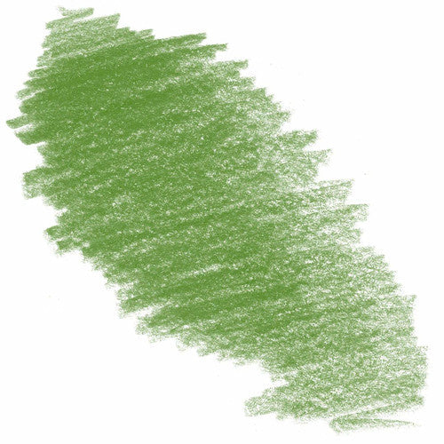 Derwent Procolour Pencil Moss Green Box of 6