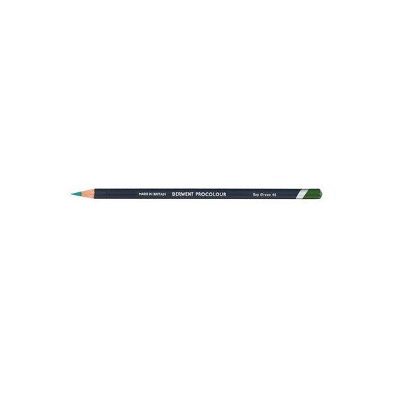 Derwent Procolour Pencil Sap Green Box of 6