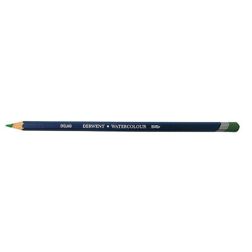 Derwent Watercolour Pencil Sap Green Box of 6