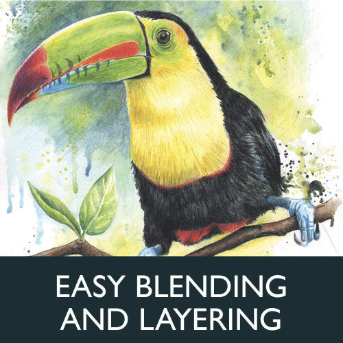 Derwent Watercolour Pencil Scarlet Lake Box of 6