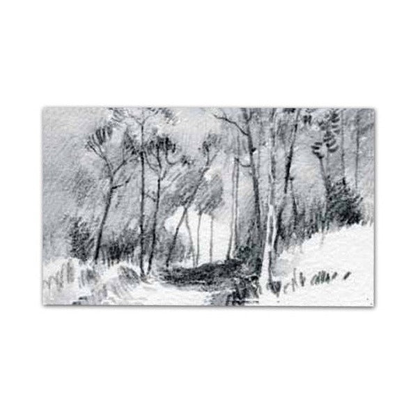 Derwent Watersoluble Graphitone Pencil 4B Stick Box of 12
