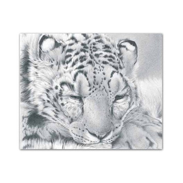 Derwent Watersoluble Sketching Pencil Light Wash HB Box of 12