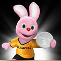 Duracell DL2025B2 Lithium Coin 2025 Batteries 3V Pack of 2