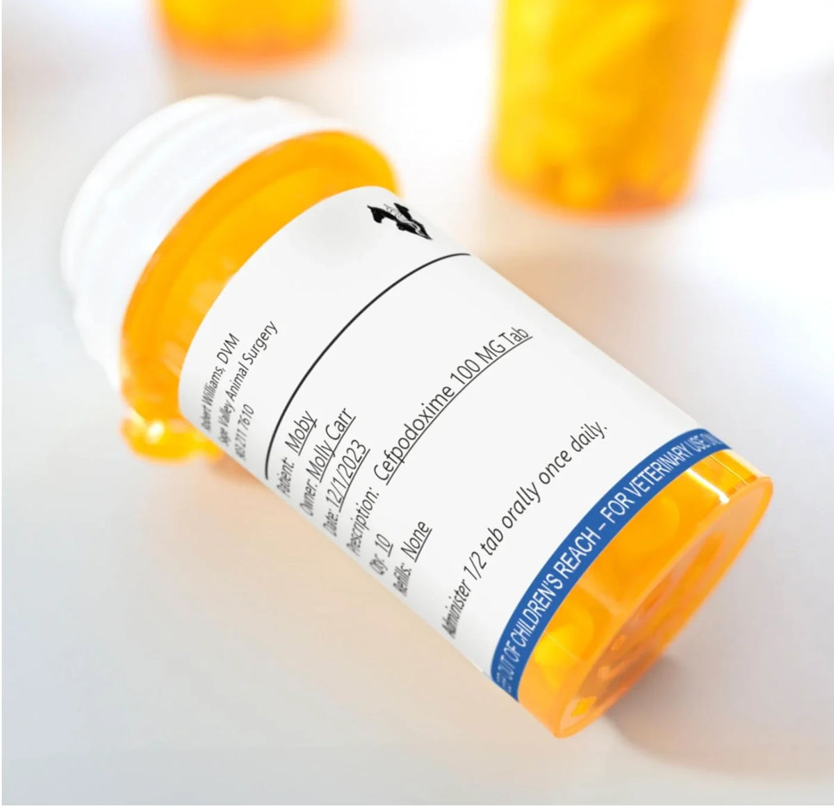 Dymo LabelWriter Veterinary Drug Labels 70 x 54mm Pack of 6 Rolls