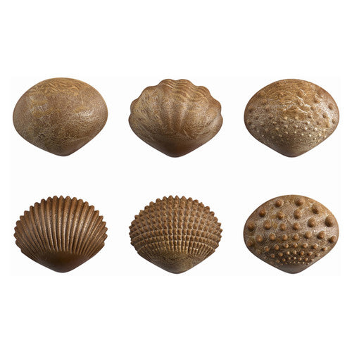 EDX Education Tactile Shells Set