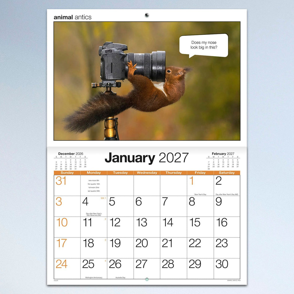 Easy2C Calendar 2027 Stitched Animal Antics A4