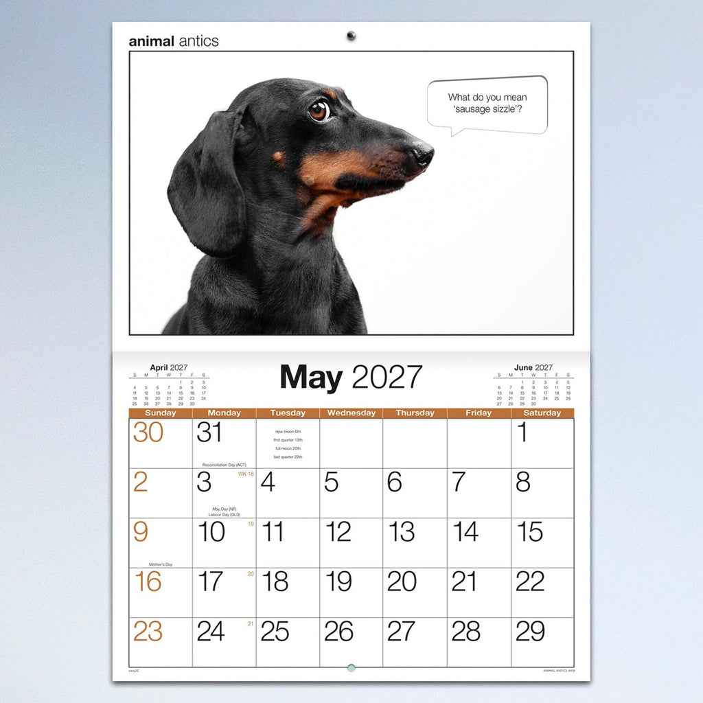 Easy2C Calendar 2027 Stitched Animal Antics A4