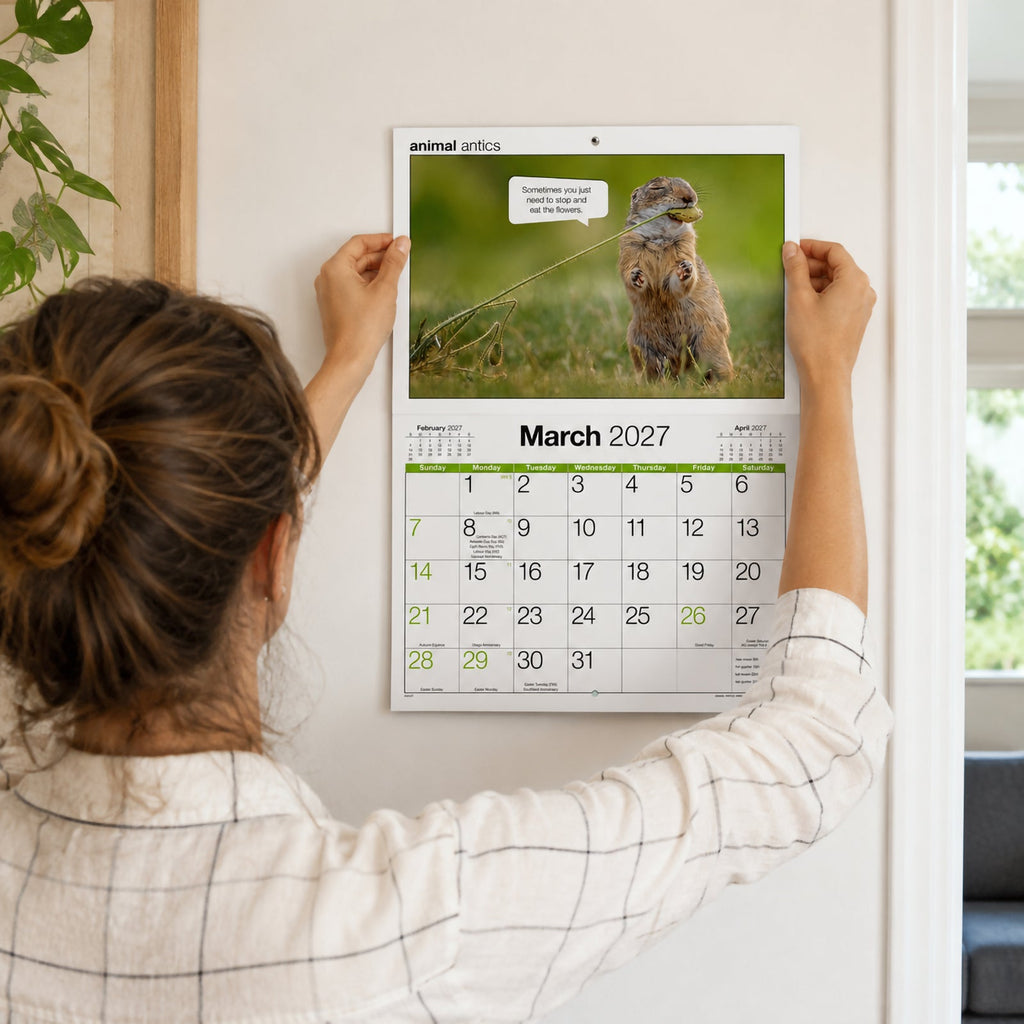 Easy2C Calendar 2027 Stitched Animal Antics A4