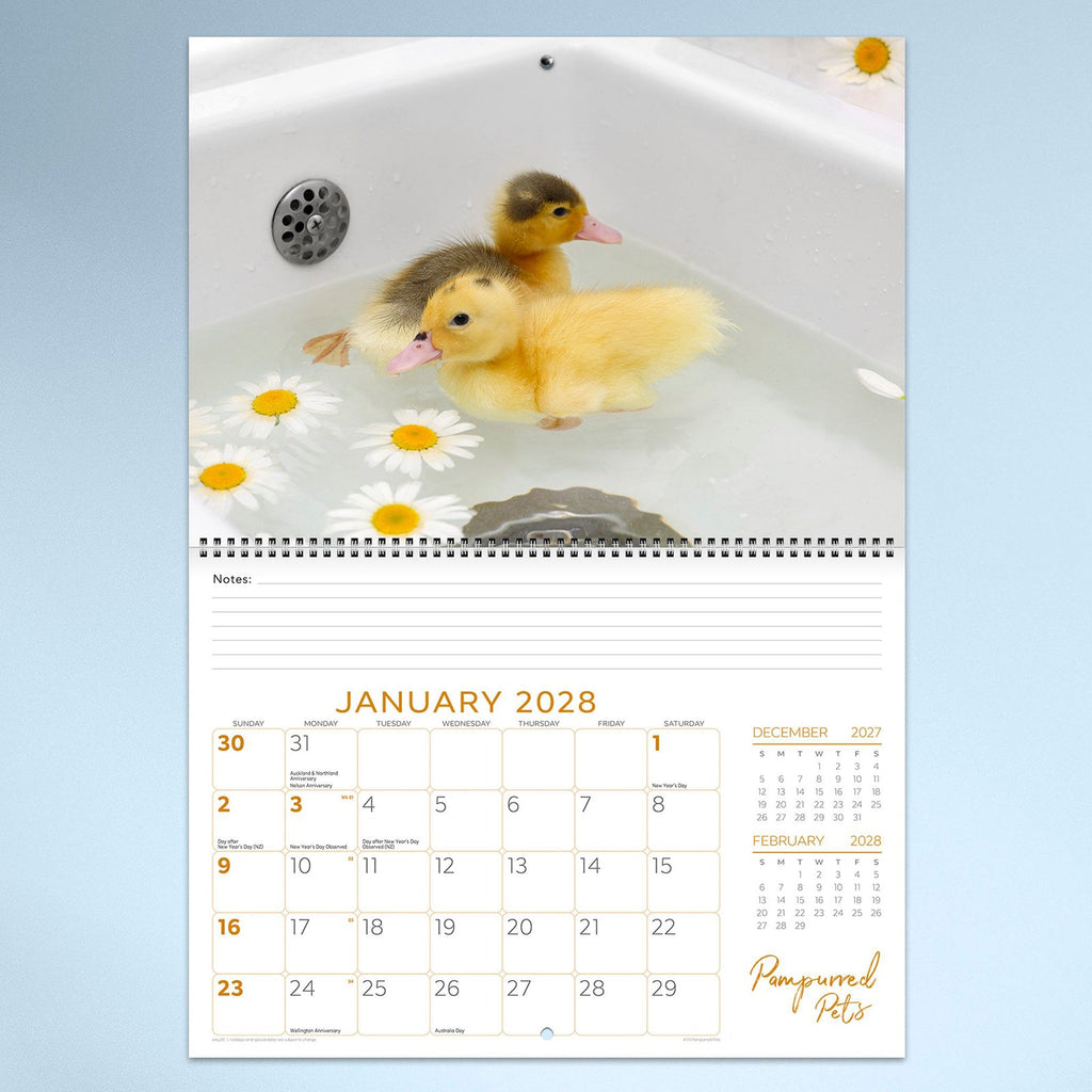 Easy2C Calendar 2027 Wiro Pampurred Pets 337 x 240mm