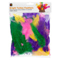 Educational Colours Bright Turkey Feathers 60g Pack