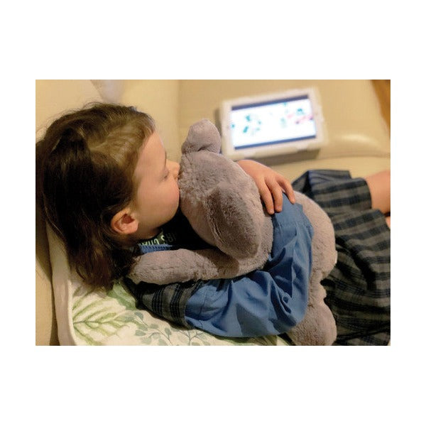 Elizabeth Richards Weighted Koala