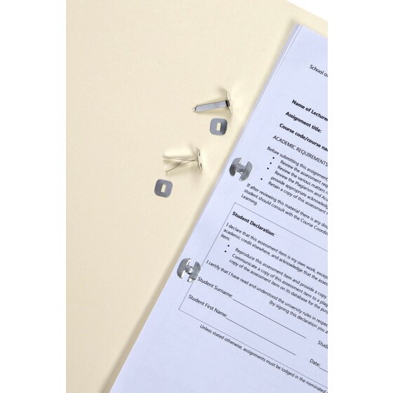 Esselte Paper Binders 25mm Silver Box 200
