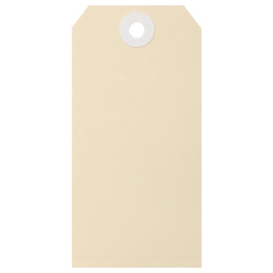 Esselte Shipping Tags No 4 54x108mm Buff Box 1000