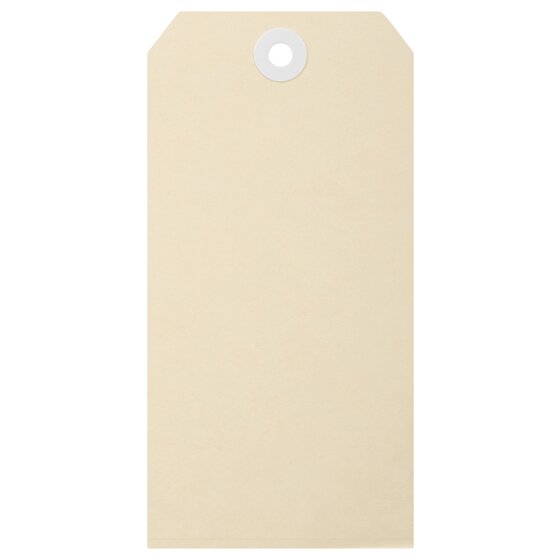 Esselte Shipping Tags No 7 73x146mm Buff Box 1000