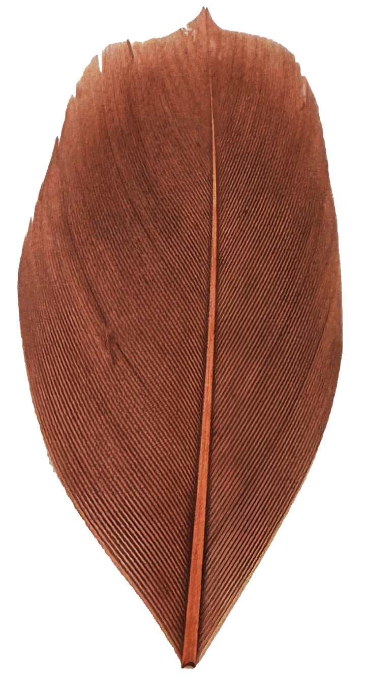 Trimmed Feathers Natural 20g White Black Brown Leaf Shaped Earthy Tones