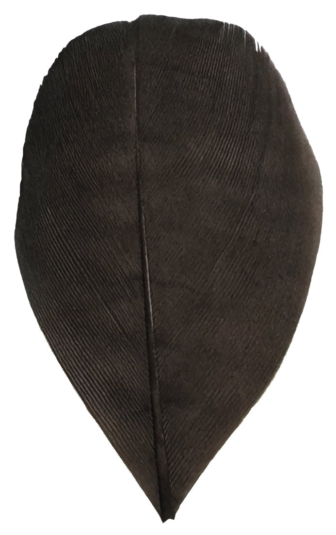 Trimmed Feathers Natural 20g White Black Brown Leaf Shaped Earthy Tones