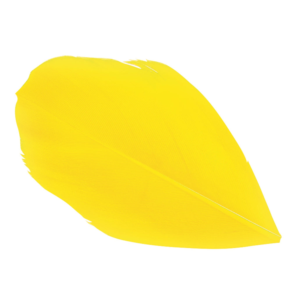 Trimmed Feathers Red Yellow and Black Leaf Shaped Pack