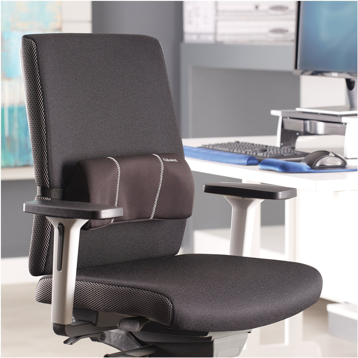 Fellowes Back Support Lumbar Support