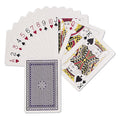 Learning Can Be Fun Plastic Coated Playing Cards