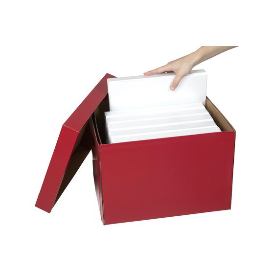 Marbig Coloured Archive Box Berry Pack of 10
